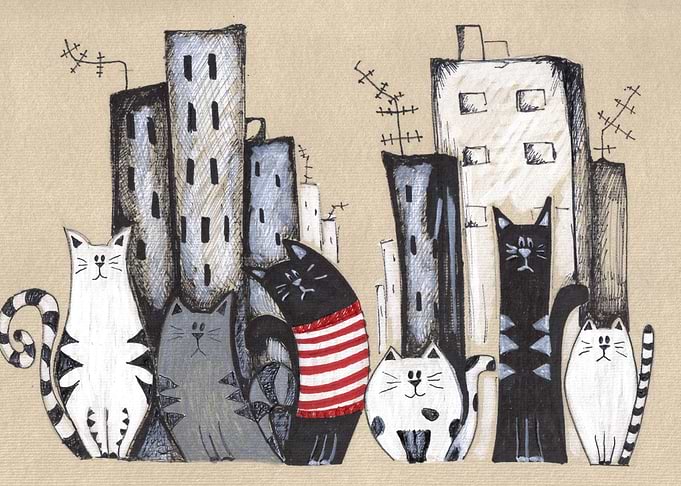 Cats and the city