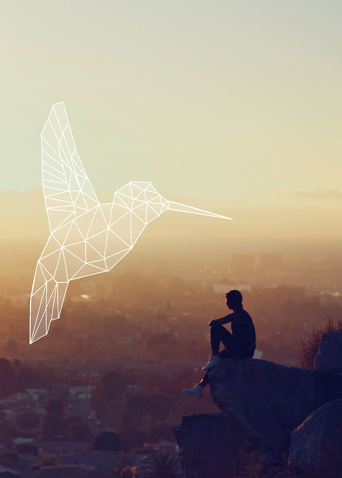 hummingbird