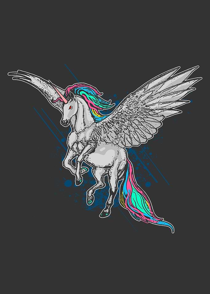 Flying Unicorn