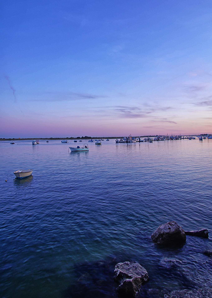 boats