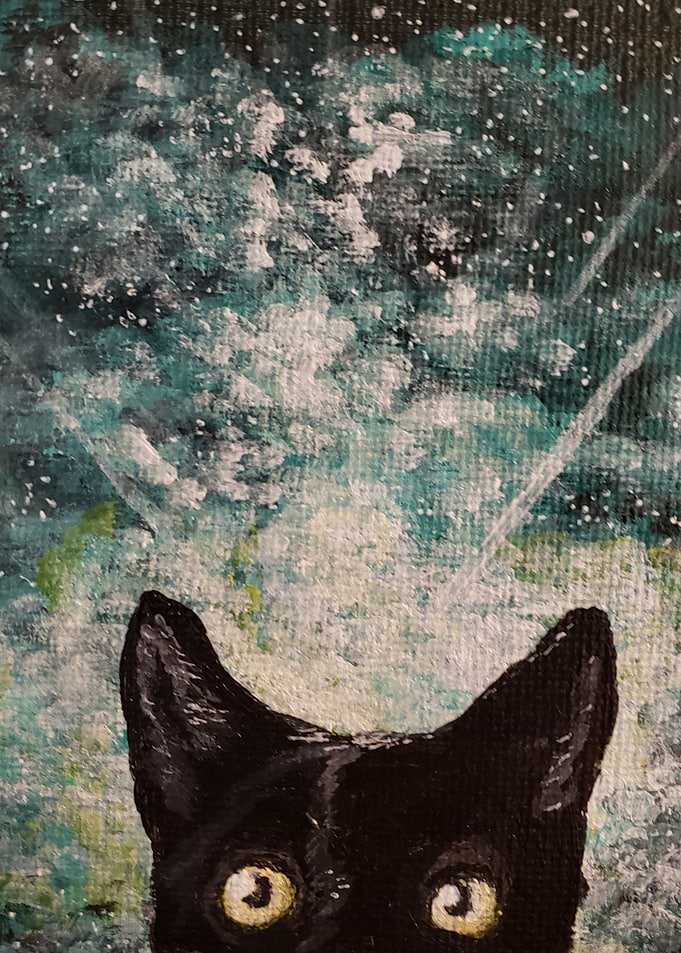 Cosmic Kitty