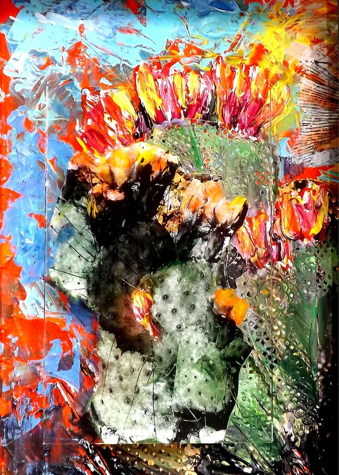 Home + Cactus Collage