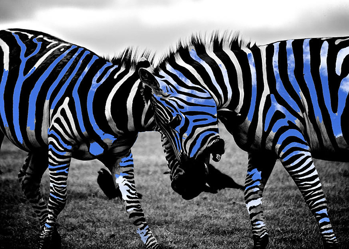 Sky Striped