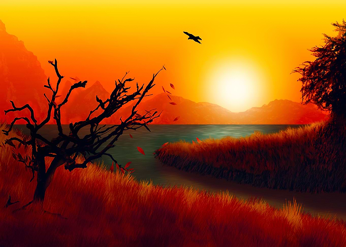 Sunset Meadow