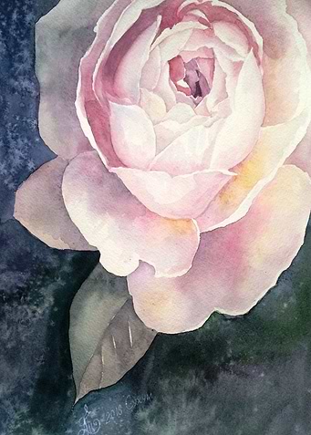 Tender rose bud