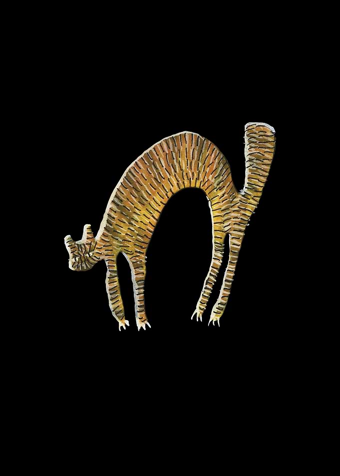 Abstract Funny Cat