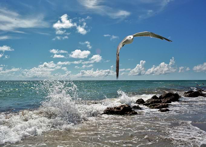 a day at the beach