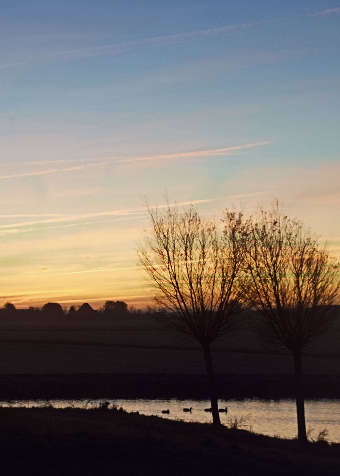Landscape 16