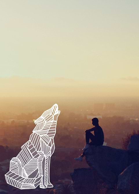 howling wolf