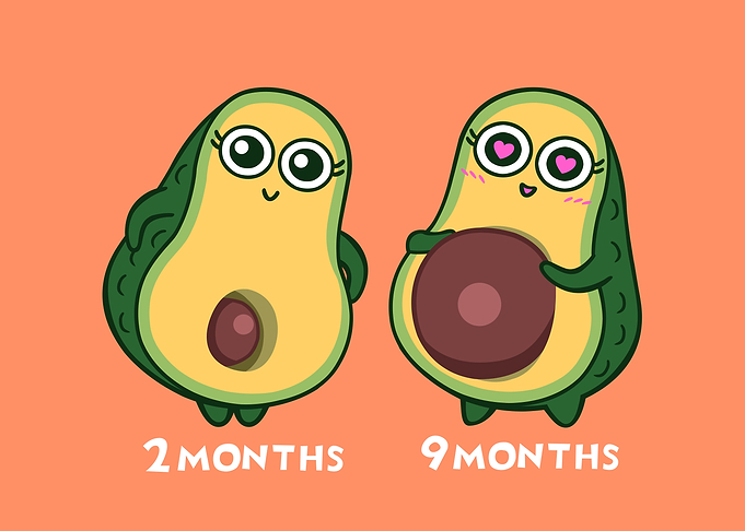 Avocado pregnancy