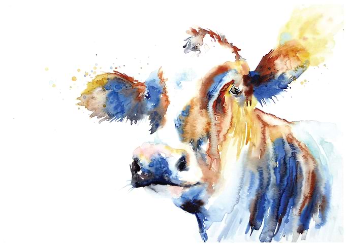Brown Cow