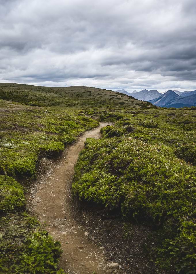 The Hike