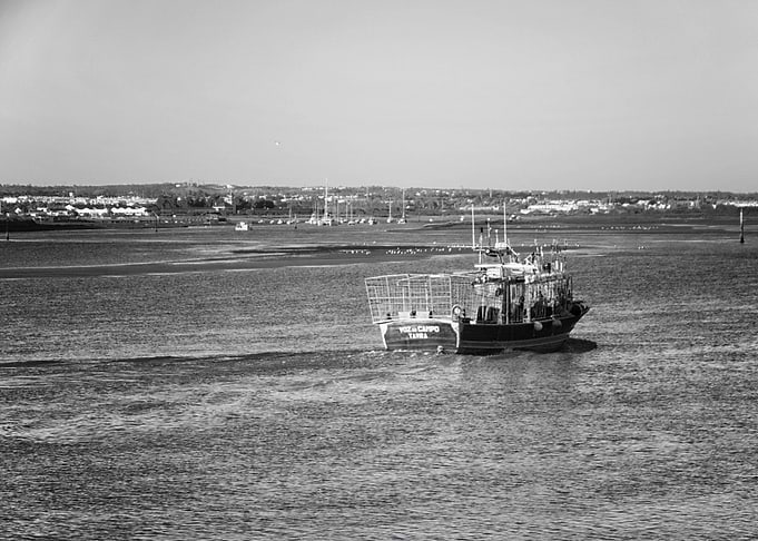 fishboat