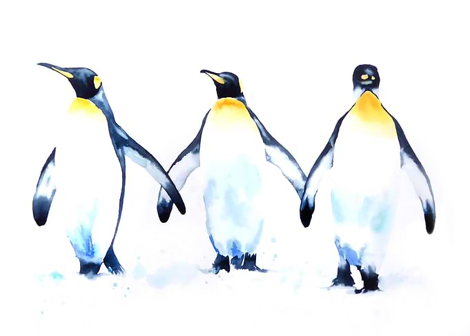 Penguin Painting