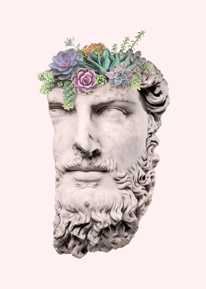 Succulent Head