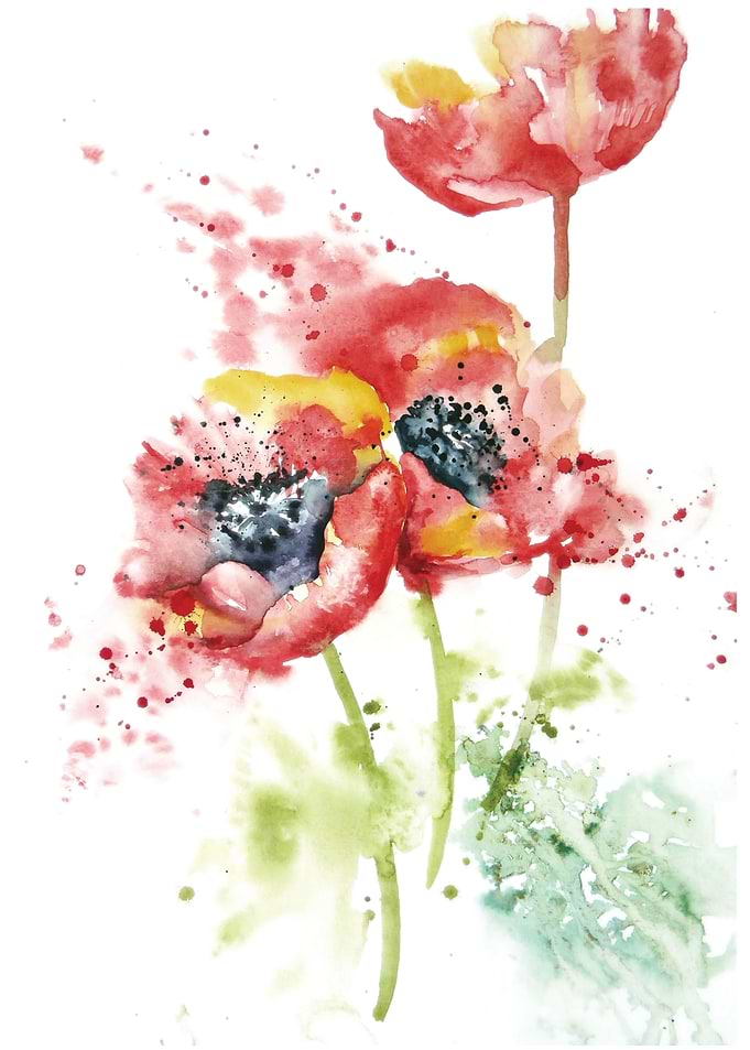 Poppies