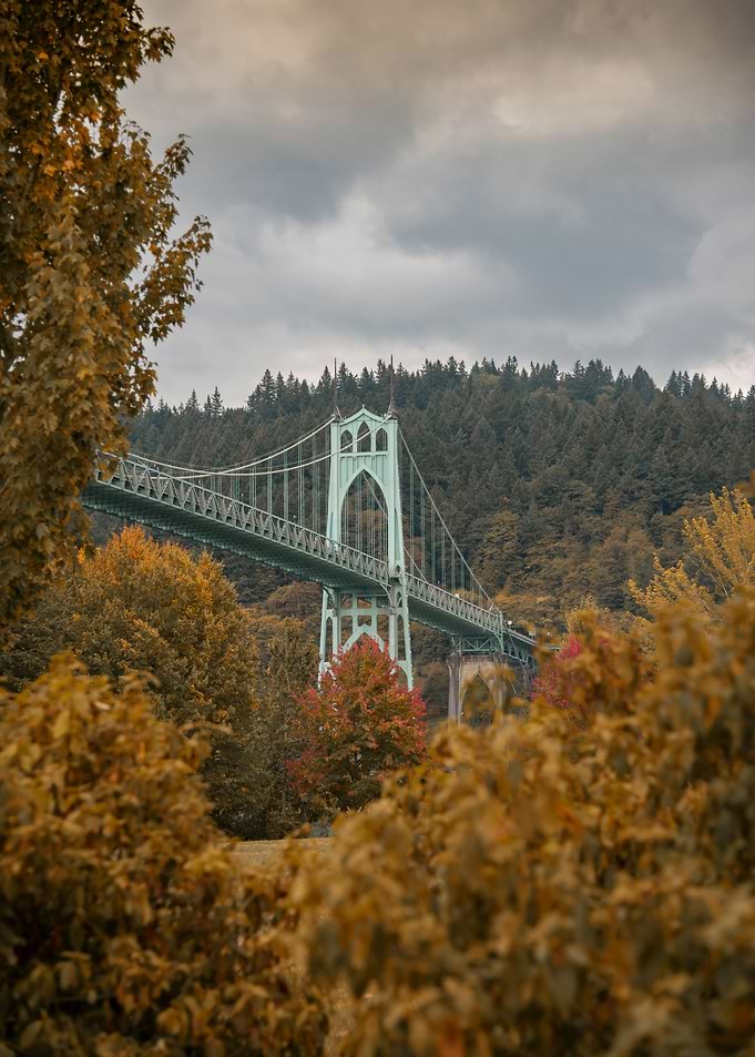 Autumn at Cathedral Park