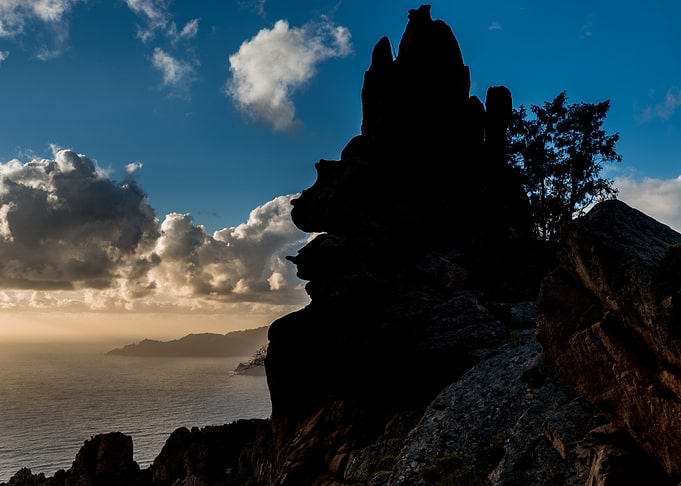 Life on top of the rocks