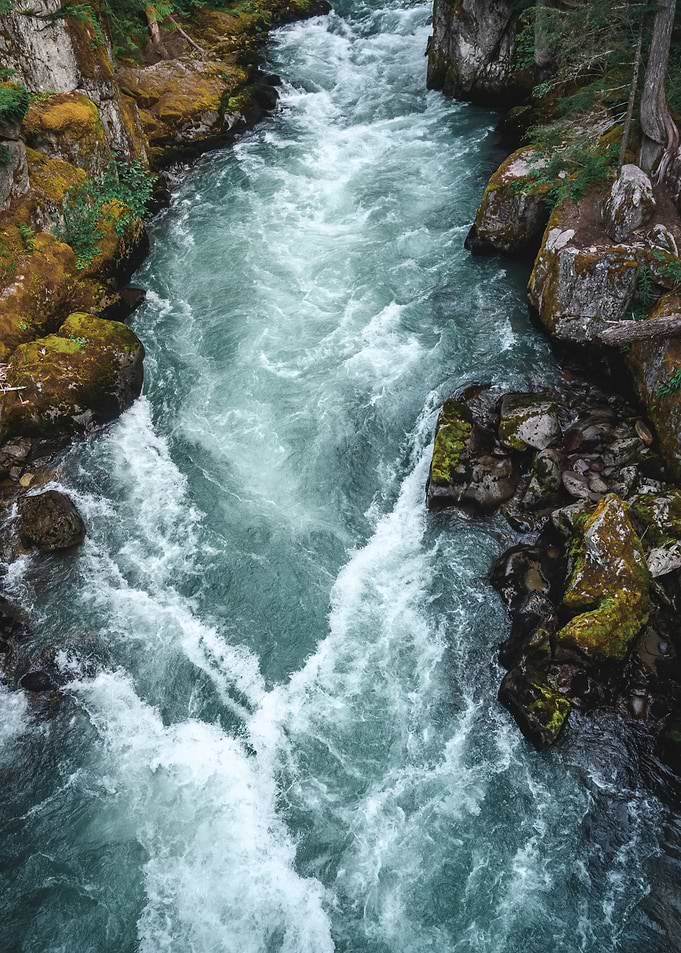 Wildwater