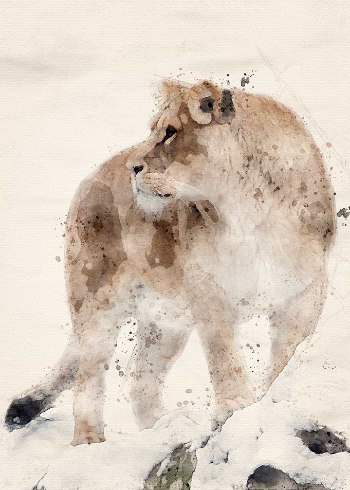 Lion