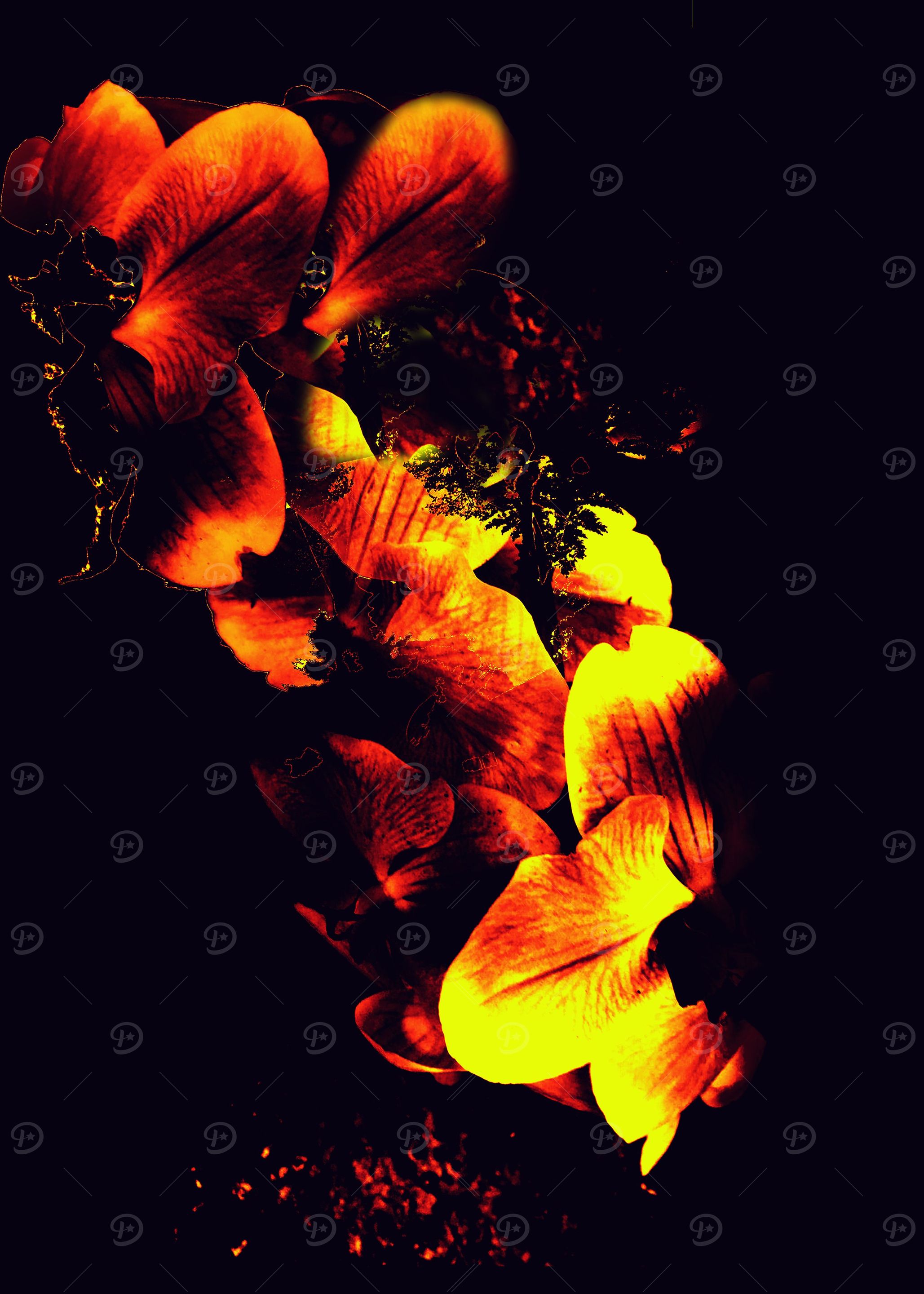 Flower Burn