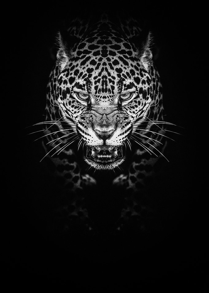angry leopard face