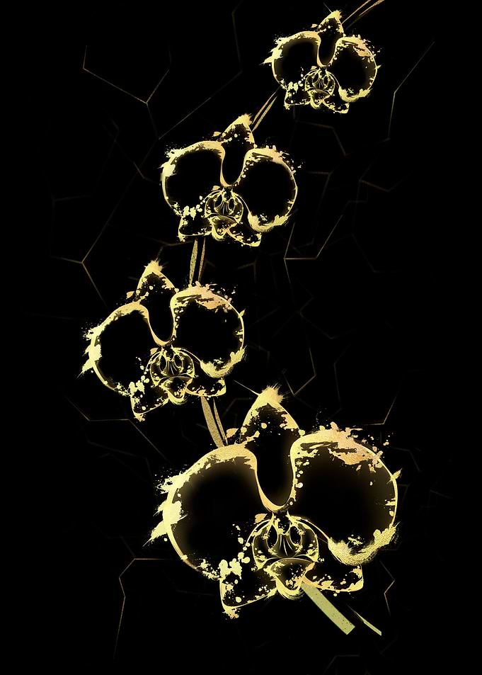 Gold Orchid