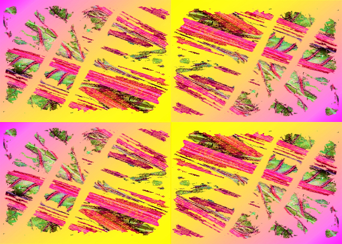 Rhubarb Rhubarb