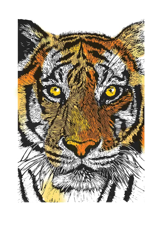 Tiger Tiger