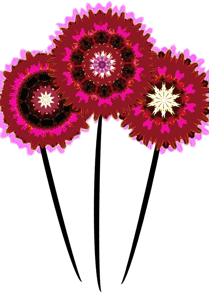 Contemporary pink poppies