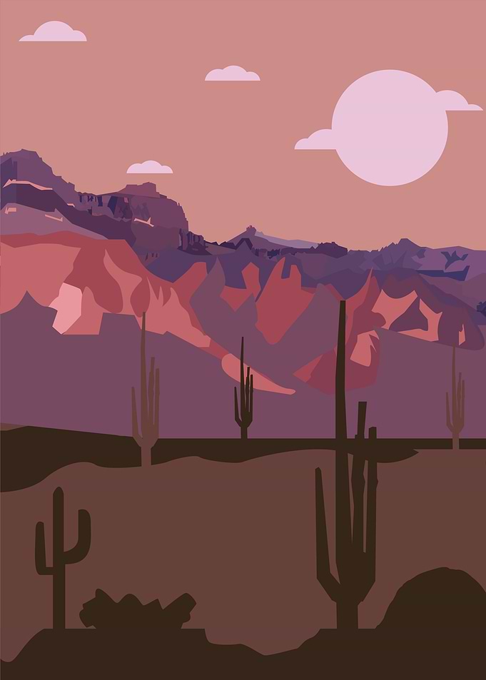 Canyon Panorama