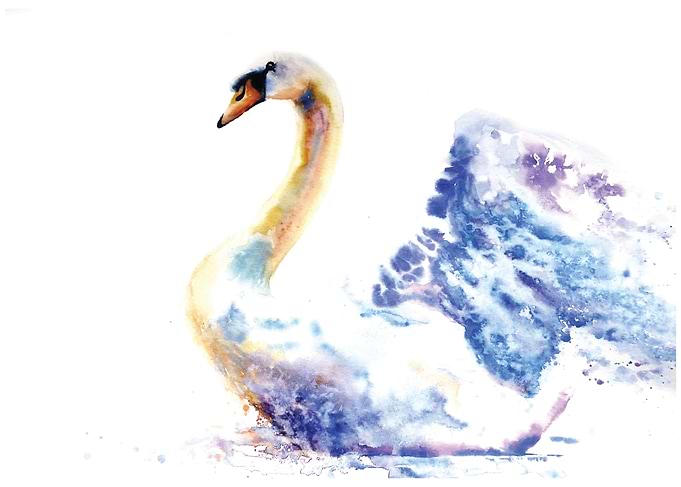 Swan Art