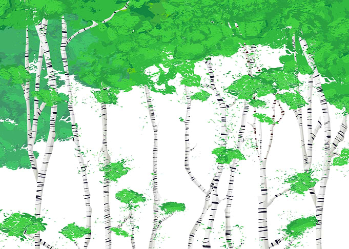 Birch groove