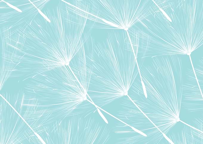 Flying dandelions