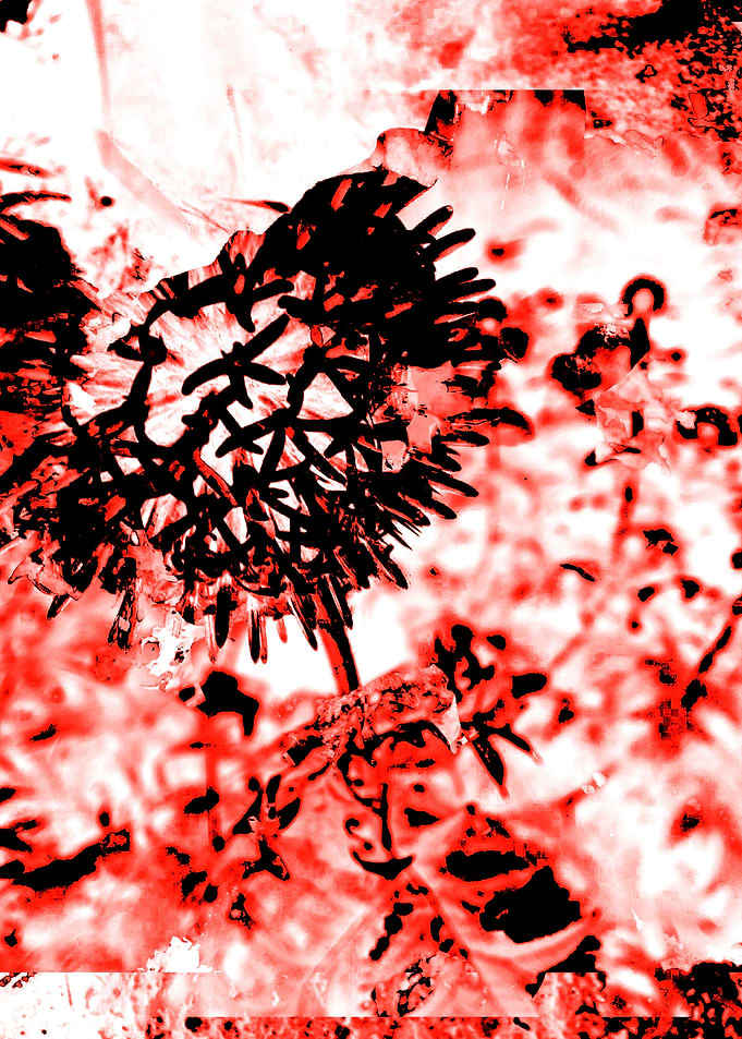 Bird Flower