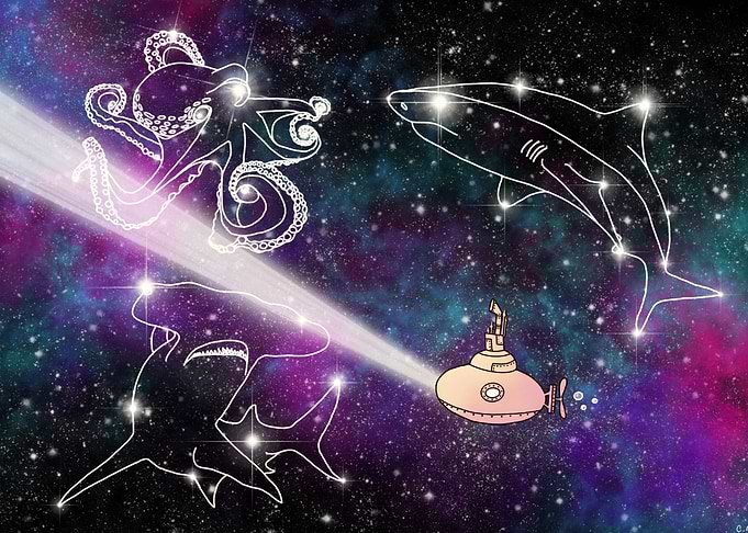 Star Fish Constellations