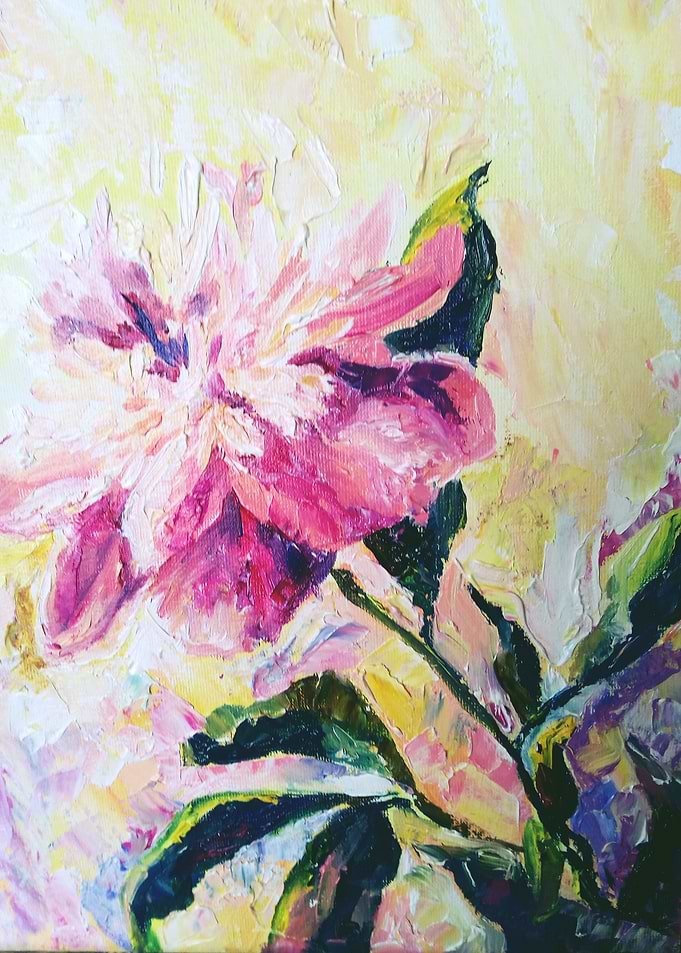Pink peony flower