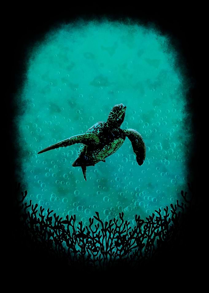 Turtle Guardian