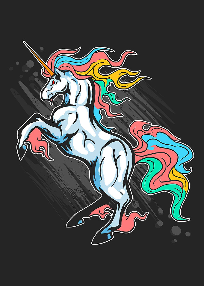 Epic Unicorn
