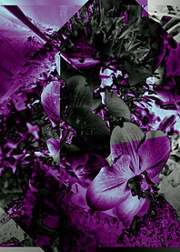 Mystic Garden