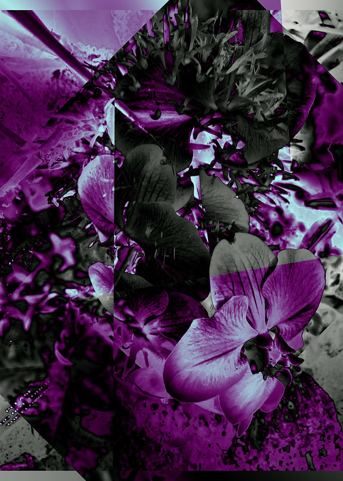 Mystic Garden