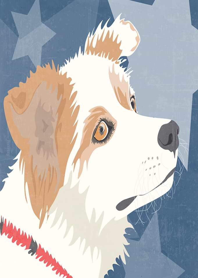 Perro