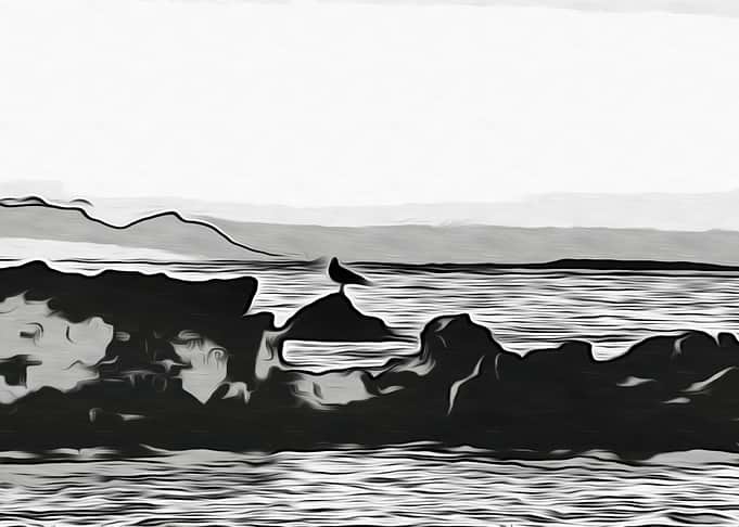 Picture Art
