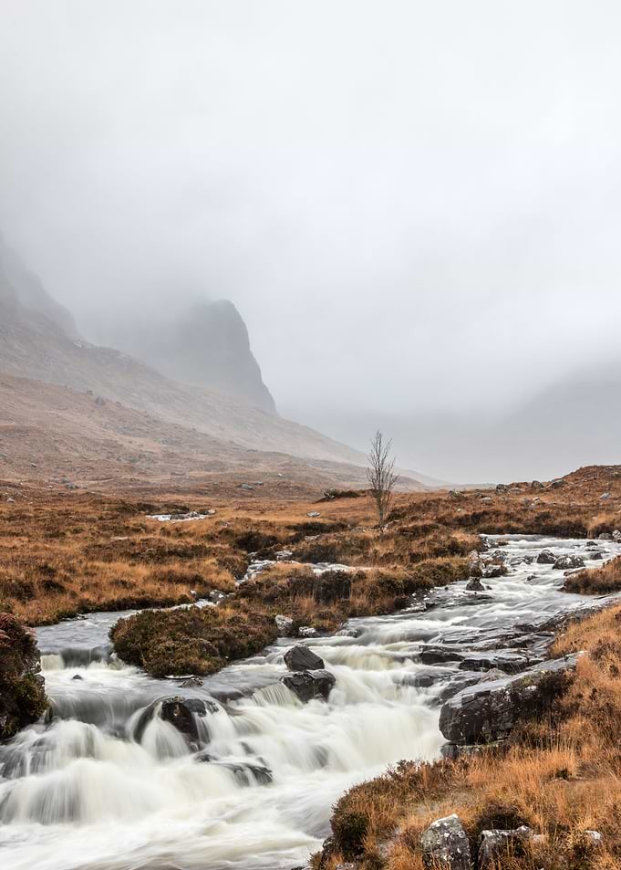 Foggy stream I