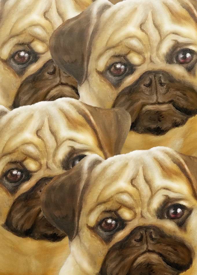 Smile Dog