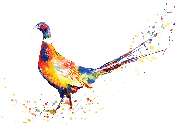Pheasant