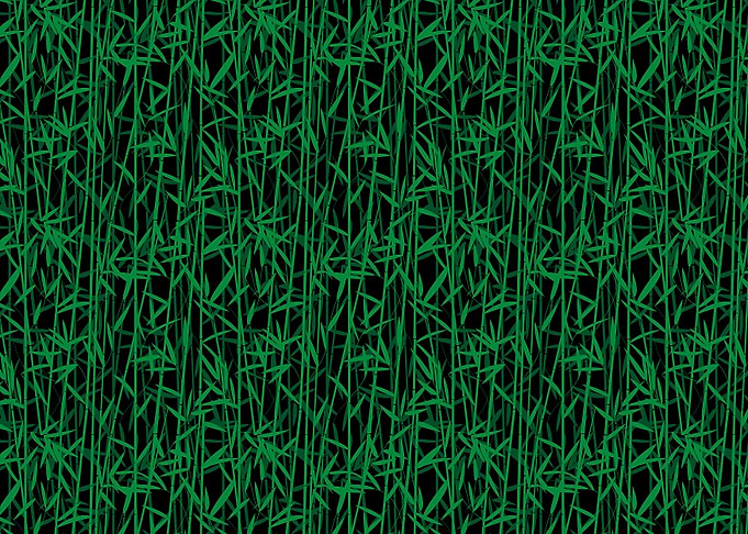 Bamboo forest