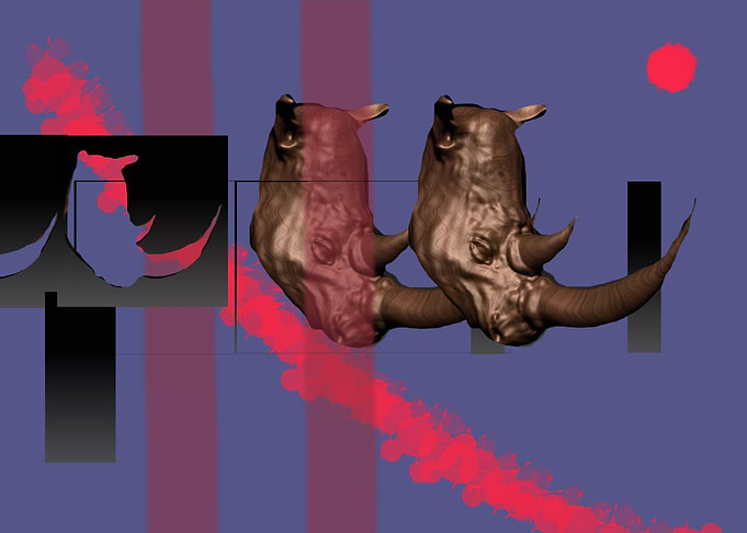 rhino44