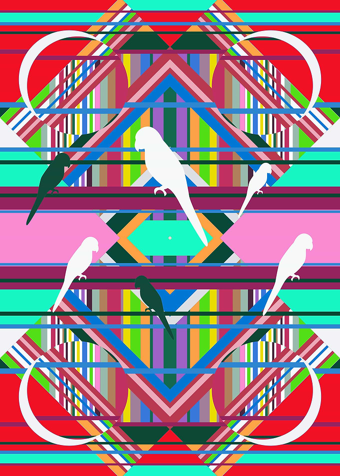 Budgie
