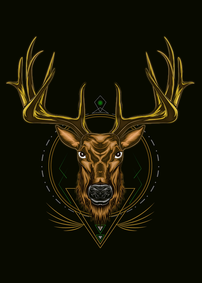 Deer head illustration